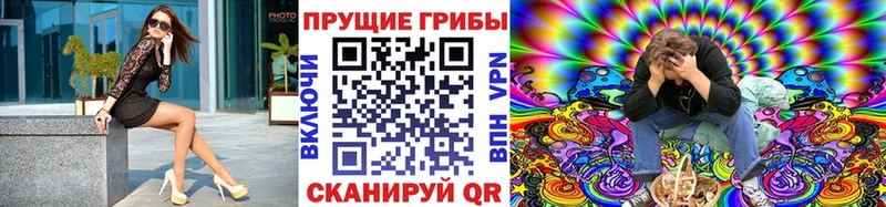 Псилоцибиновые грибы Magic Shrooms  блэк спрут онион  Краснодар  что такое наркотик 